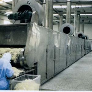 DWT Series Vegetable Dehydration Dryer